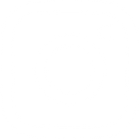 Social icon 2