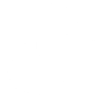 Social icon 3
